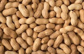 A close-up image showing a large pile of unshelled peanuts. The peanuts have a rough, textured brown shell and are tightly packed together, highlighting their natural appearance.