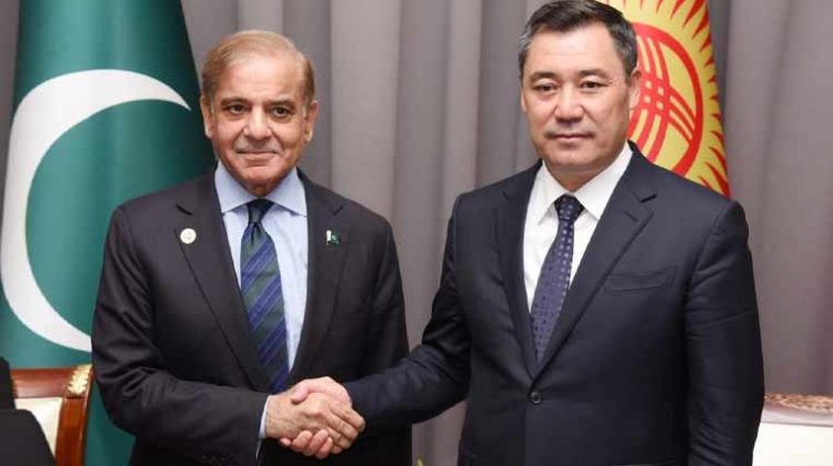 Two formally dressed men stand side by side in front of national flags, shaking hands during an official diplomatic meeting.