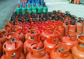 Rows of red, blue, and green LPG gas cylinders arranged outdoors in a storage area.