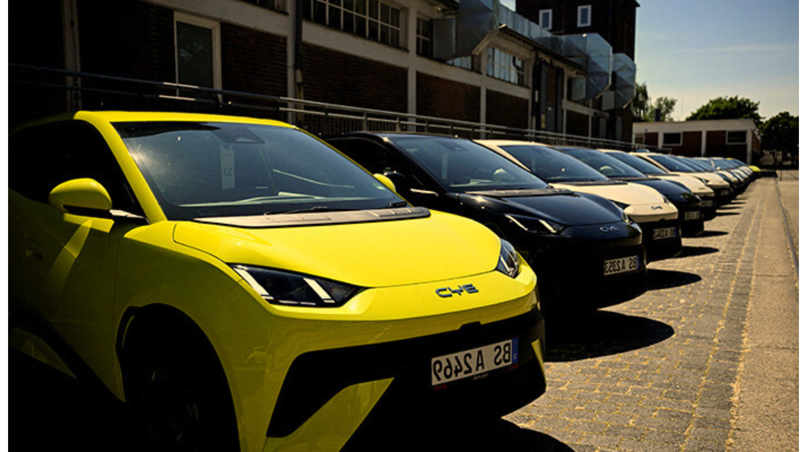 BYD electric cars parked in a row showcasing modern Chinese EV lineup competing with Tesla in global electric vehicle market